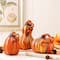 Glitzhome® Multi Striped Glass Pumpkin & Gourd Set